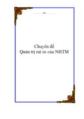 Chuyên đề Quản trị rủi ro của ngân hàng thương mại - Tài liệu quản trị kinh doanh ngân hàng thương mại