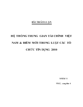 Đề tài Hệ thống trung gian tài chính Việt Nam và điểm mới trong luật các tổ chức tín dụng 2010