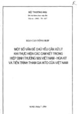 Đề tài Một số vấn đề chủ yếu cần xử lý khi thực hiện các cam kết trong hiệp định thương mại Việt Nam - Hoa Kỳ và tiến trình tham gia WTO của Việt Nam