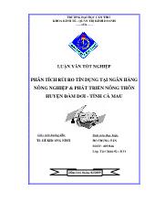 Đề tài Phân tích rủi ro Tín dụng tại ngân hàng Nông nghiệp và Phát triển nông thôn (NHNo & PTNT) huyện Đầm Dơi - Tỉnh Cà Mau