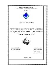 Đề tài Phân tích thực trạng quản lý rủi ro tín dụng tại Chi nhánh Vietinbank Bạc Liêu