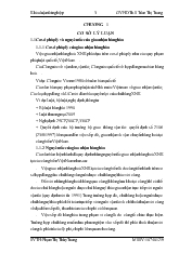 Khóa luận Giải pháp nhằm nâng cao hiệu quả hoạt động giao nhận hàng hóa nhập khẩu tại Công ty TNHH Giao nhận vận tải Kassa