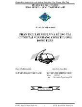 Luận văn Phân tích lợi nhuận và rủi ro tại Ngân hàng Công Thương Đồng Tháp