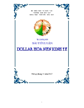 Tiểu luận Dollar hóa nền kinh tế