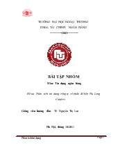 Tiểu luận Phân tích tín dụng công ty cổ phần đồ hộp Hạ Long Canfoco