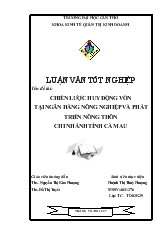 Đề tài Chiến lược huy động vốn tại ngân hàng nông nghiệp và phát triển nông thôn chi nhánh tỉnh Cà Mau