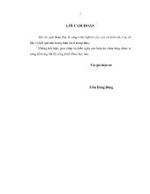 Đề tài Giải pháp nâng cao hiệu quả sử dụng phí bảo hiểm của doanh nghiệp bảo hiểm phi nhân thọ Việt Nam