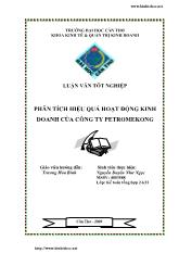 Luận văn Phân tích hiệu quả hoạt động kinh doanh của công ty dầu khí Mekong