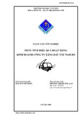 Luận văn Phân tích hiệu quả hoạt động kinh doanh công ty xăng dầu Tây Nam Bộ