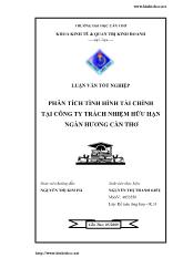 Luận văn Phân tích tình hình tài chính tại công ty trách nhiệm hữu hạn Ngàn Hương - Cân Thơ