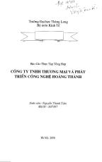 Báo cáo Tại công ty THNN thương mại và phát triển công nghệ Hoàng Thành