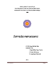 Các phương pháp xác định Serratia mercescens