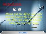 Đề tài Đánh giá tác động của cuộc khủng hoảng tài chính toàn cầu đến cán cân tài khoản vãng lai của Việt Nam