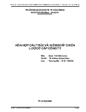 Đề tài Hòa hợp cấu trúc và kiểm soát chiến lược công ty cổ phần đầu tư Nam Long