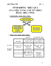 Đề tài Kinh tế cộng: Tính không hiệu quả của việc cung cấp tư nhân hàng hóa công