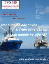 Đề tài Mối quan hệ độc quyền và Triển vọng đầu tư doanh nghiệp họ Dầu khí