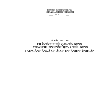 Đề tài Phân tích hiệu quả tín dụng Công thương nghiệp và Tiêu dùng tại Ngân hàng Á Châu chi nhánh Phú Nhuận