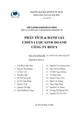 Đề tài Phân tích và đánh giá chiến lược kinh doanh của hãng giày dép Biti's