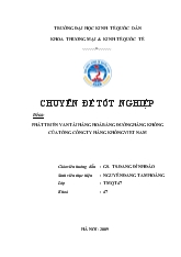 Đề tài Phát triển vận tải hàng hoá bằng đường hàng không của tổng công ty hàng không Việt Nam