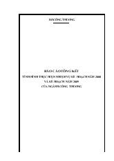 Đề tài Tổng kết tình hình thực hiện nhiệm vụ kế hoạch năm 2008 và kế hoạch năm 2009 của ngành công thương