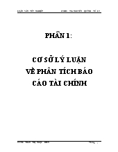 Luận văn Phân tích tài chính Công Ty Cổ Phần Dầu Thực Vật Tân Bình năm 2007 và năm 2008