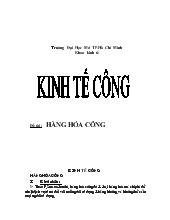 Tiểu luận Môn kinh tế công: hàng hóa công