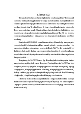 Tiểu luận Tổng hợp về tình hình kinh doanh của công ty HADICO