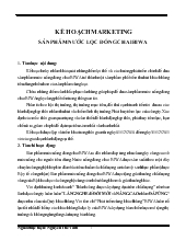 Đề tài Chiến lược marketing của công ty cổ phần Bình Vinh