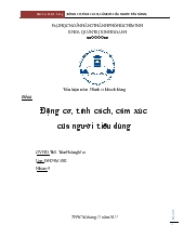 Đề tài Động cơ, tính cách, cảm xúc của người tiêu dùng