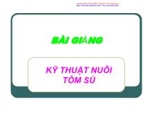 Bài giảng Kỹ thuật nuôi tôm sú thâm canh