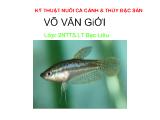 Chuyên đề Báo cáo tìm hiểu về cá bãi trầu