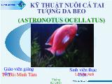 Chuyên đề Báo cáo tìm hiểu về cá tai tượng da beo