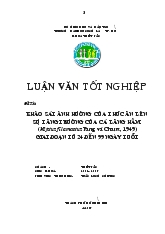 Khảo sát ảnh hưởng của thức ăn lên tăng trưởng cá lăng hầm (Mystus filamentus) giai đoạn từ 24 đến 99 ngày tuổi