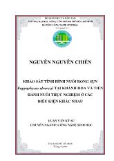 Khảo sát tình hình nuôi rong sụn Kappaphycus alvarezii tại khánh hòa và tiến hành nuôi thực nghiệm ở các điều kiện khác nhau