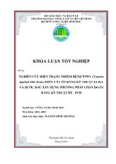 Khóa luận Nghiên cứu hiện trạng nhiễm bệnh TSWV (Tomato spotted wilt virus) trên cây ớt bằng kỹ thuật elisa và bước đầu xây dựng phương pháp chẩn đoán bằng kỹ thuật RT - Pcr