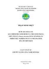 Luận văn Bước đầu khảo sát quá trình phát sinh bệnh của virus đốm trắng trên tôm sö (penaeus monodon) bằng mô hình gây nhiễm thực nghiệm chuẩn và phương pháp hóa mô miễn dịch
