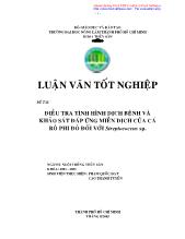 Luận văn Điều tra tình hình dịch bệnh và khảo sát đáp ứng miễn dịch của cá rô phi đỏ đối với Streptococcus sp