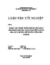 Luận văn Khảo sát nghề nuôi tôm sú (Penaeus monodon) quảng canh cải tiến tại xã Hòa Tú I, huyện Mỹ Xuyên, tỉnh Sóc Trăng
