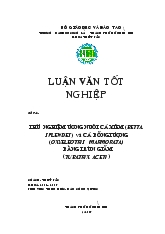 Luận văn Thử nghiệm ương nuôi cá xiêm (BETTA SPLENDES ) và cá bống tượng (OXYELEOTRIS MARMORATA) bằng trùn giấm (TUBATRIX ACETI)