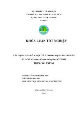 Luận văn Xác định gen gây độc và tính đa dạng di truyền của nấm metarrhizium anisopliae ký sinh trên côn trùng