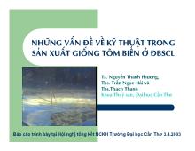 Những vấn đề về kỹ thuật trong sản xuất tôm biển