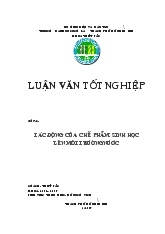 Tác động của chế phẩm sinh học lên môi trường nước