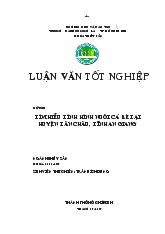 Tìm hiểu mô hình nuôi cá bè tại huyện Tân Châu, tỉnh An Giang