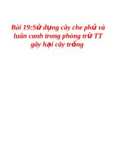 Bài 19: Sử dụng cây che phủ và luân canh trong phòng trừ TT gây hại cây trồng
