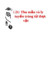 Bài 21: Thu mẫu và ly trích tuyến trùng từ thực vật