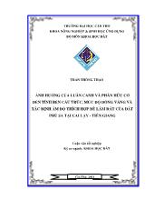 Đề tài Ảnh hưởng của luân canh và phân hữu cơ đế tính bền cấu trúc, mức độ đóng váng và xác định ẩm độ thích hợp để làm đất của đất phù sa tại Cai Lậy – Tiền Giang