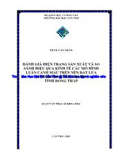 Đề tài Đánh giá hiện trạng sản xuất và so sánh hiệu quả kinh tế các mô hình luân canh màu trên nền đất lúa tại huyện Châu Thành tỉnh Đồng Tháp