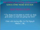 Đề tài Ứng dụng chỉ thị phân tử AND xác định gene phục vụ chọn tạo giống lúa thơm