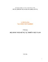 Hệ sinh thái rừng tư nhiện tại Việt Nam - Cẩm nang ngành Lâm nghiệp