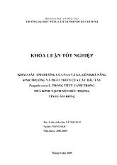 Khảo sát ảnh hưởng của chất điều hòa sinh trưởng lên cây dâu tây Fragaria vesca L trồng thủy canh trong nhà kính